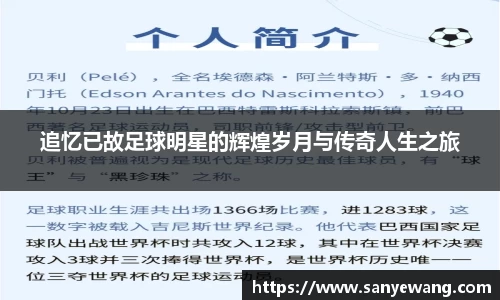 九游体育.九游体育官网入口